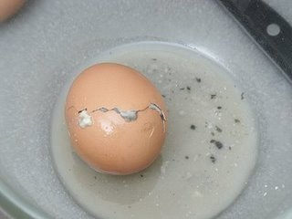 Rotten egg