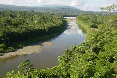 Napo River