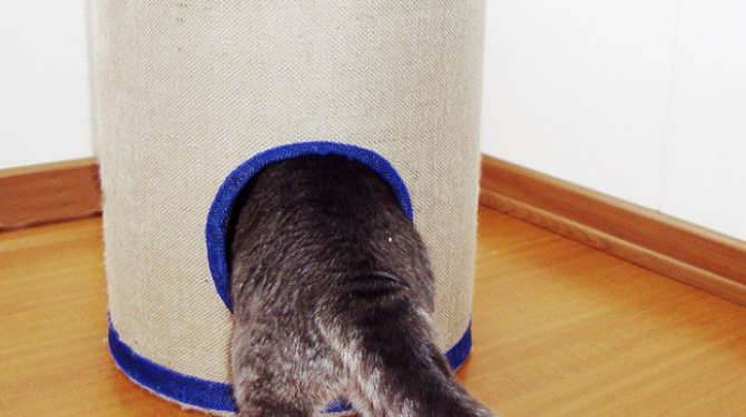 The best hiding places a cat can find