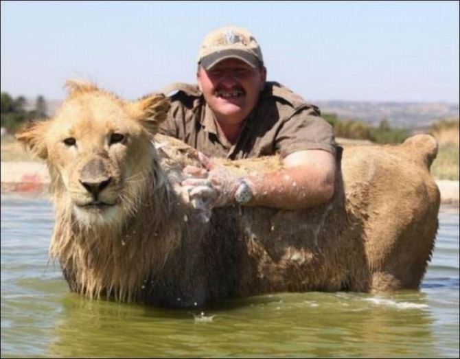 今天是时候给狮子洗澡