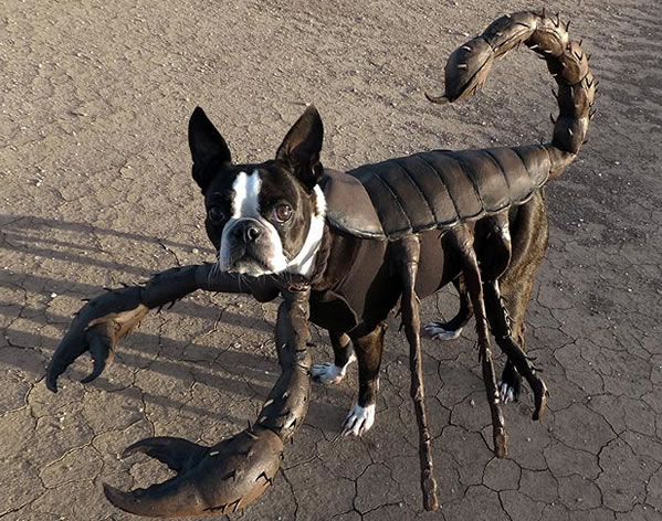 Собака-скорпион