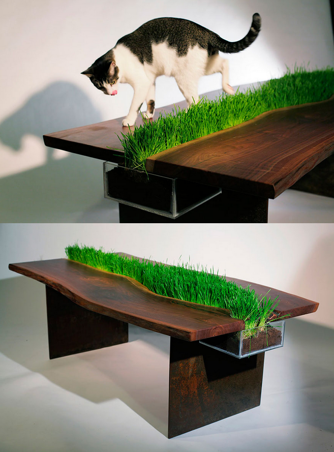 Meja untuk merasakan rumput