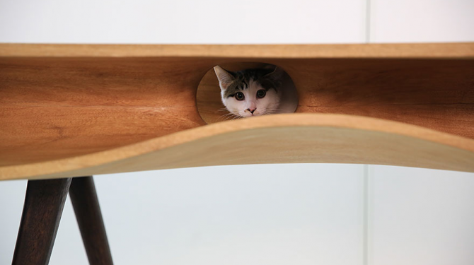 Muebles geniales para los amantes de los gatos