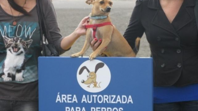 Die besten Hundestrände in Spanien