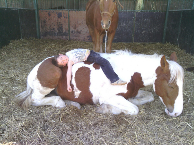 Il cavallo si addormentò e il cavaliere si addormentò