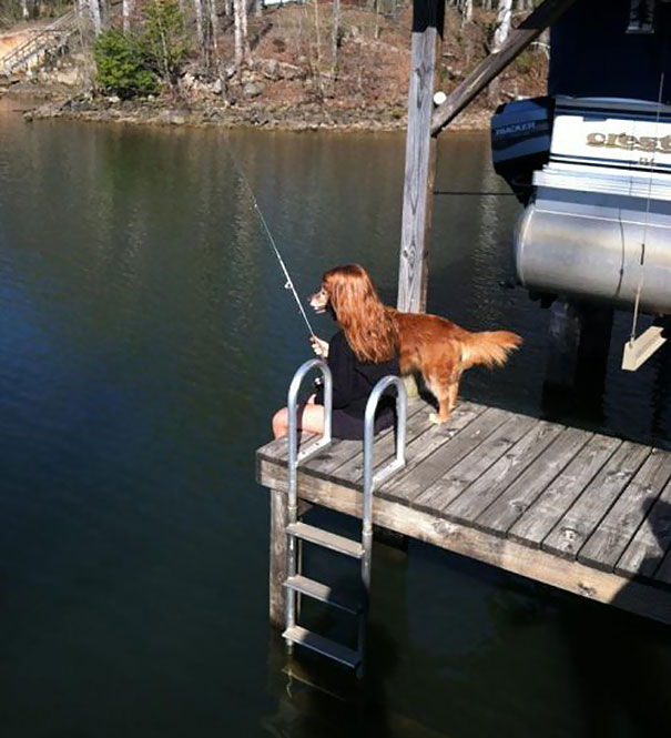 Câine de pescar