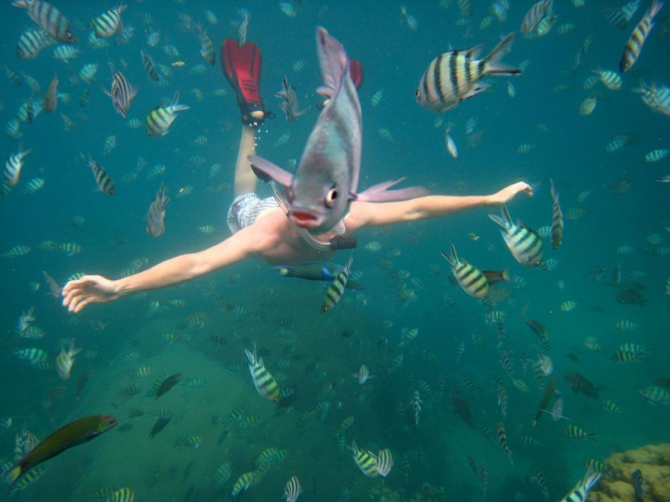 Rybia twarz (lub ryba w kostiumie kąpielowym)